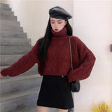 タートルネッククロップドニット