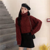 タートルネッククロップドニット