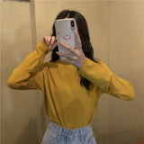 ハーフハイネックベーシックニット