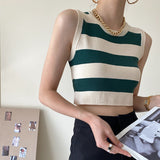 ボーダーショートニット