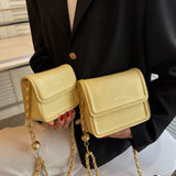 ゴールドチェーンフラップバッグ