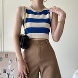 ボーダーショートニット