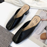 Vカットミュール